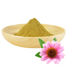 Natural Echinacea Angustifolia Purpurea Root Extract Powder